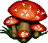 mushroom.gif (6328 bytes)