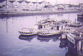 berry9.jpg (23582 bytes)